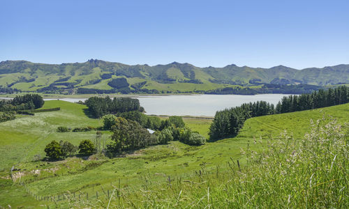 Idyllic landscape around akaroa