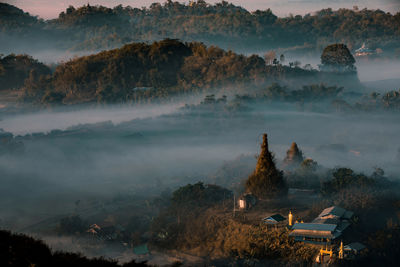 High angle view of trees and buildings against sky