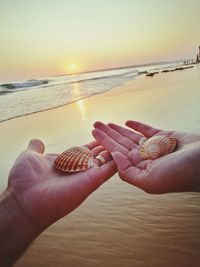 Close-up of couple holding seashells at beach during sunset