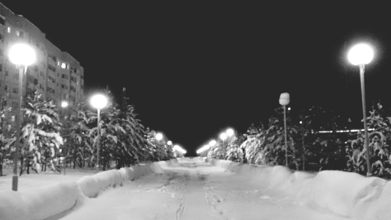 illuminated, night, snow, cold temperature, winter, lighting equipment, street light, the way forward, season, diminishing perspective, weather, covering, tree, clear sky, electric light, light - natural phenomenon, street, white color, nature, in a row