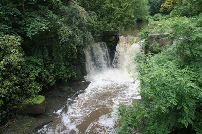 River flowing through rocks