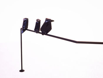 Low angle view of bird perching on cable against clear sky