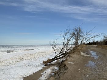 Scenic view of beach against sky