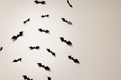Low angle view of birds flying against clear sky