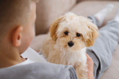 Close-up of dog