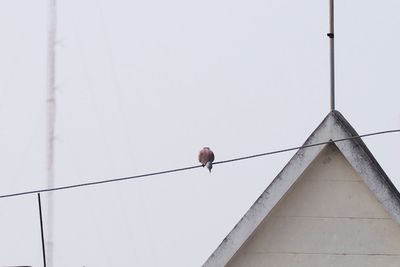 Low angle view of man against clear sky