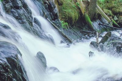 Scenic view of waterfall in forest