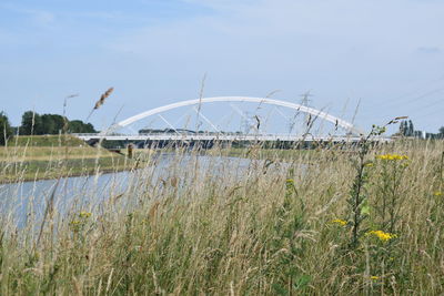 Grass growing on field by bridge against sky