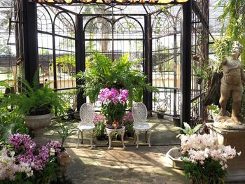 View of flower pot on table by window