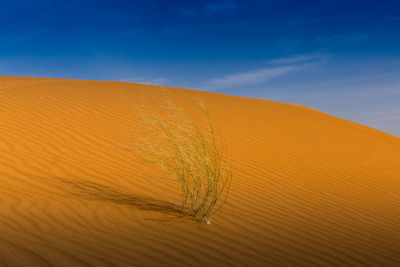 Close-up of sand dune in desert against blue sky