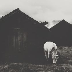 Built structure against sky