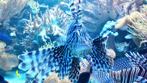 Close-up of hands in sea