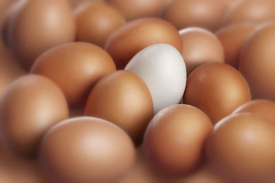 Full frame shot of eggs