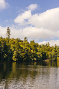 Scenic view of lake by trees against sky