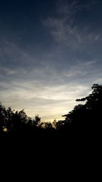 Silhouette trees against sky during sunset