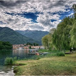 Scenic view of trees and buildings against sky
