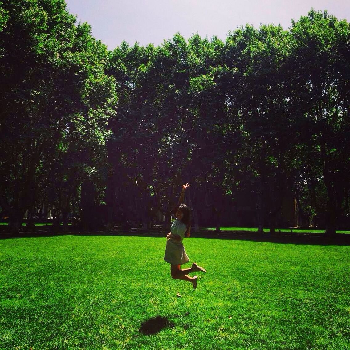 grass, full length, green color, tree, lifestyles, leisure activity, grassy, field, park - man made space, casual clothing, growth, standing, lawn, rear view, green, park, side view, person