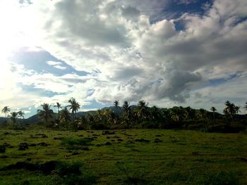 Scenic view of field against sky