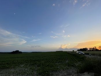 Scenic view of agricultural field against sky during sunset