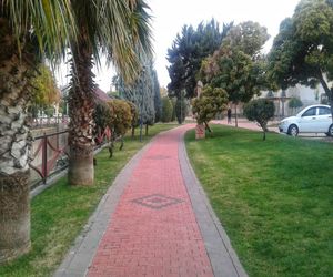 Road amidst trees in park