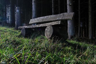 Abandoned truck on field in forest