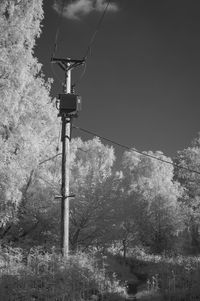 Low angle view of trees against sky