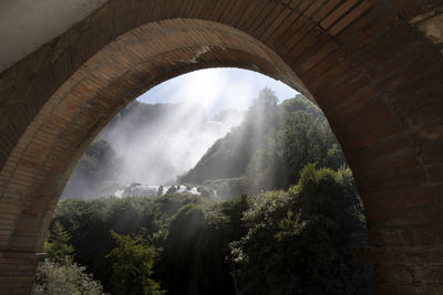 Bridge over river in forest