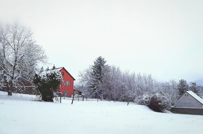 Snow covered trees against clear sky