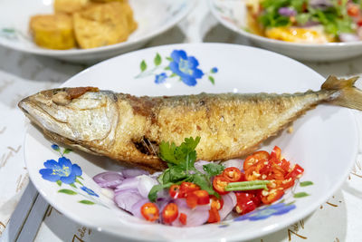 Close-up of food served in plate