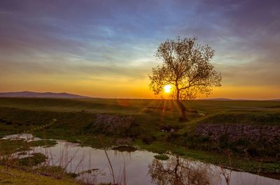 Scenic view of landscape against sky during sunset