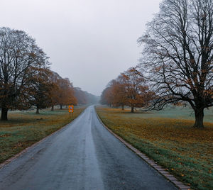 Empty road along bare trees against sky