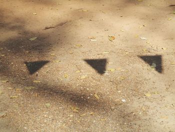 High angle view of shadow on ground