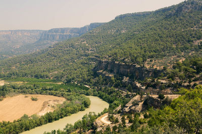 Scenic view of landscape