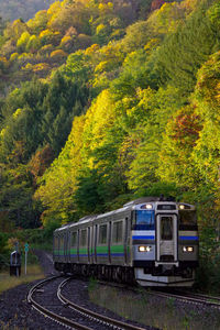 Train on railroad track with autumn leaves