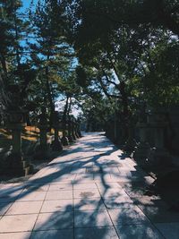 Footpath amidst trees in park