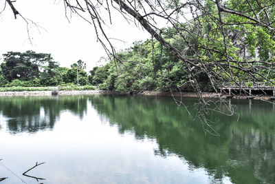 Scenic view of lake in forest against sky