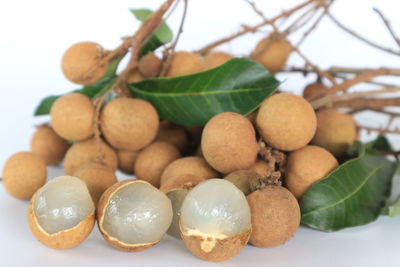 Close-up of fruits in plate