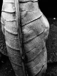 Close-up of person standing on field