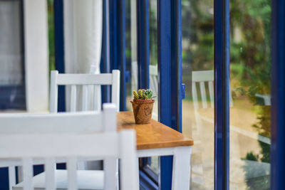 Close-up of potted plants on table