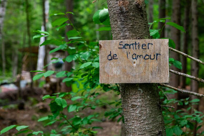 Close-up of information sign on tree trunk