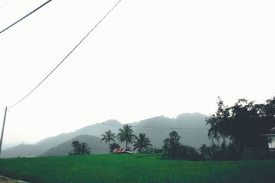 Scenic view of landscape against clear sky