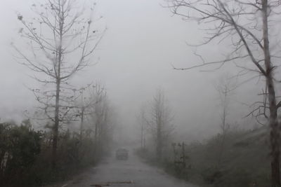 Road amidst trees against sky during winter