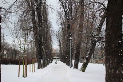 Snow covered trees against sky
