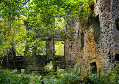 Built structure against trees