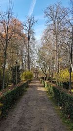 Footpath amidst bare trees in park