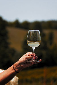 Close-up of cropped hand