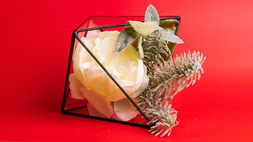 High angle view of drink on glass against red background