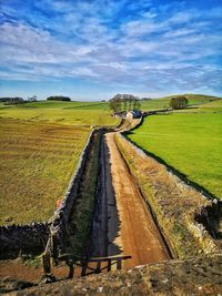 Scenic view of agricultural field against sky