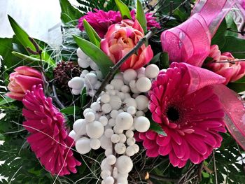 Close-up of pink flowers