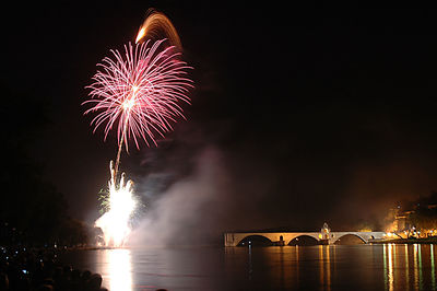 Firework display over river against sky at night